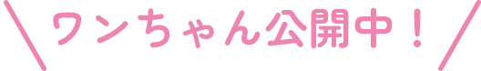 ワンちゃん公開中
