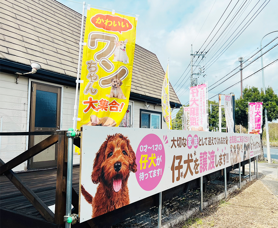ドッグ☆スター店舗外観