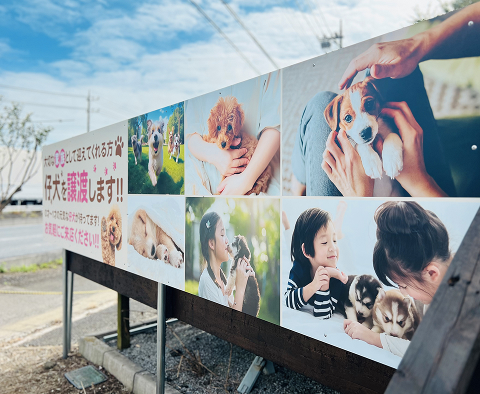 ドッグ☆スター店舗外観